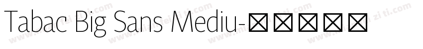 Tabac Big Sans Mediu字体转换